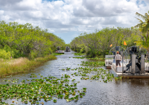 Escursione Alle Everglades.jpg