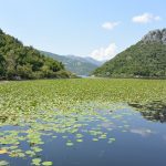 La scoperta del Montenegro inizierà con un'uscita sul Lago di Scutari